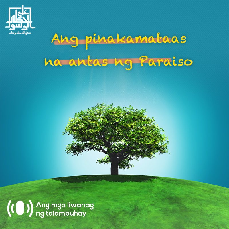 Ang pinakamataas na antas ng Paraiso