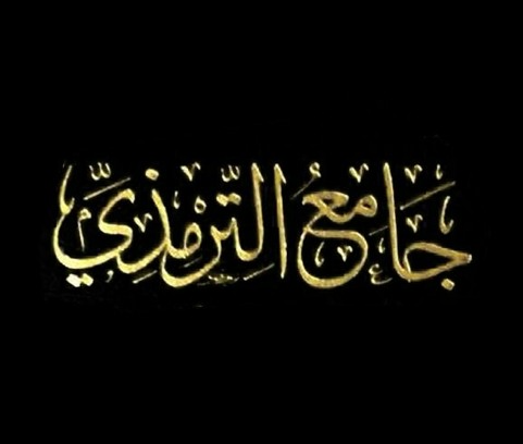 سنن الترمذي [30] كتاب الطب